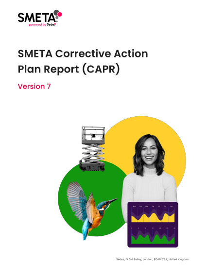 SMETA